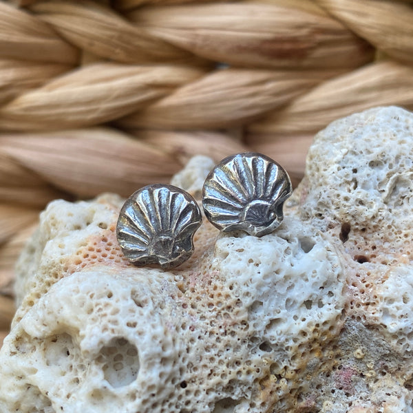 Scallop Shell Studs — Sterling Silver