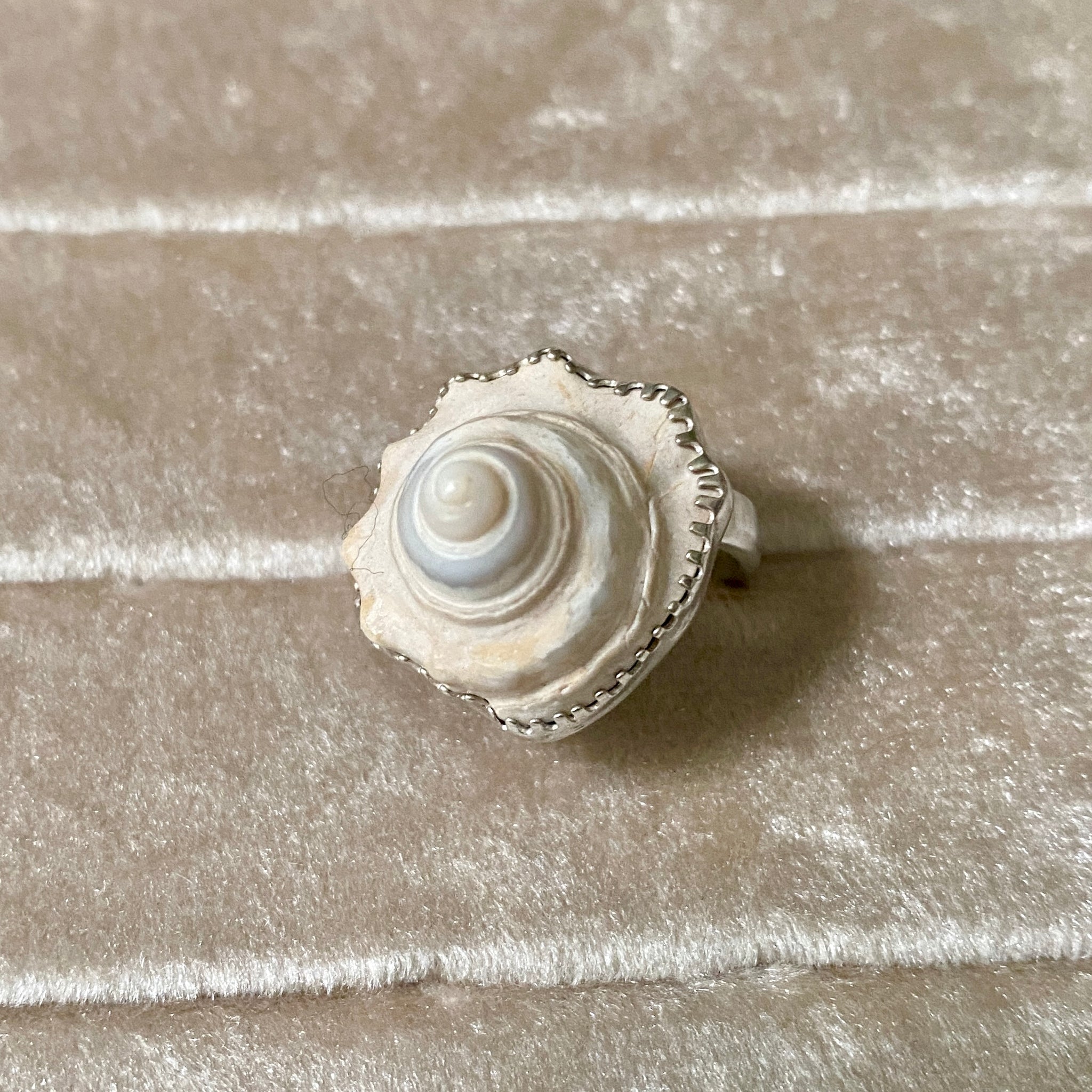 Whelk Shell Ring — Sterling Silver