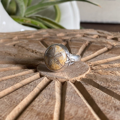 Fossilized Sand Dollar Rings — Sterling Silver