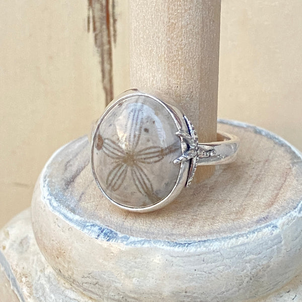 Fossilized Sand Dollar Rings — Sterling Silver